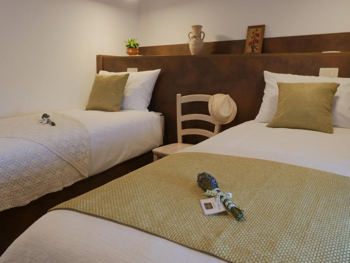 Apartmaji In Sobe Odlicna Hisa Štanjel 外观 照片