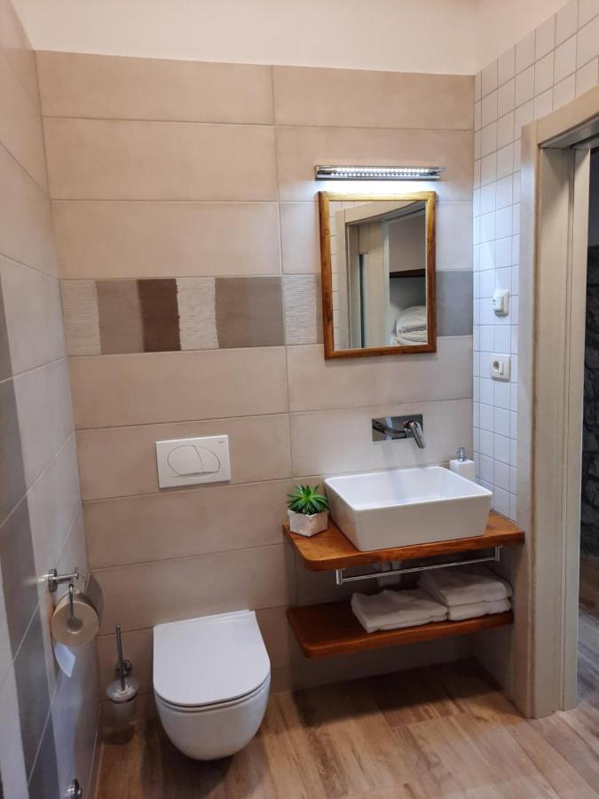 Apartmaji In Sobe Odlicna Hisa Štanjel 外观 照片
