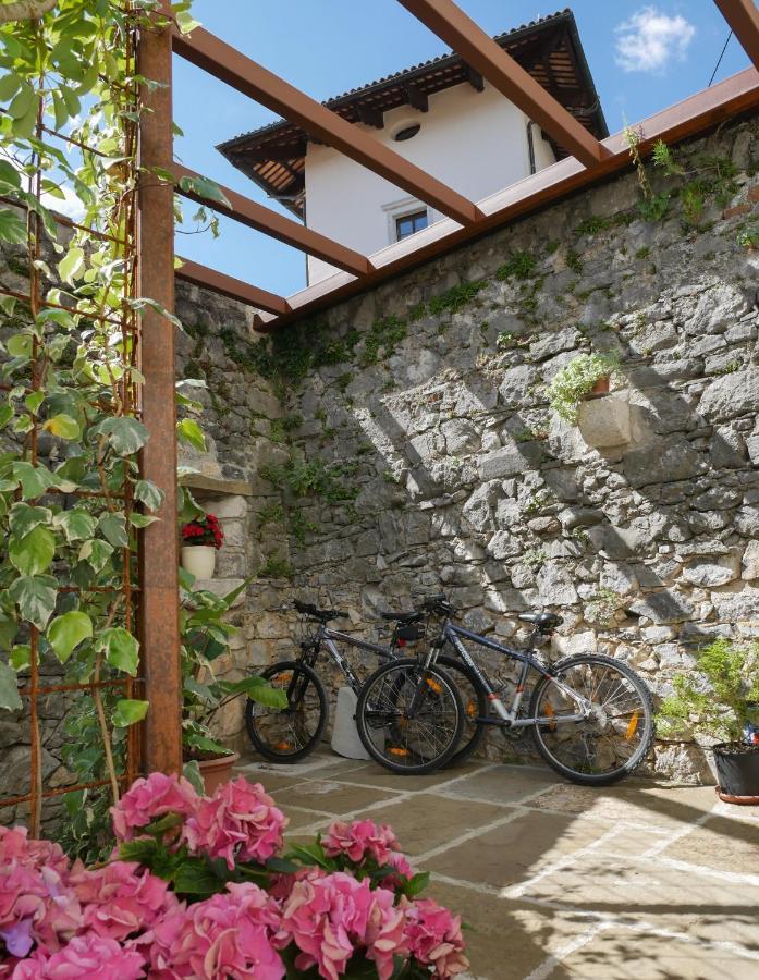 Apartmaji In Sobe Odlicna Hisa Štanjel 外观 照片